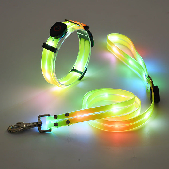 Glowing LED Dog Collar with Leash - NightBright Bowlift