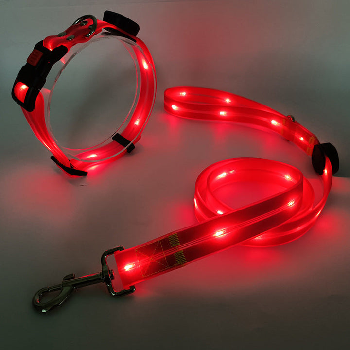 Glowing LED Dog Collar with Leash - NightBright Bowlift