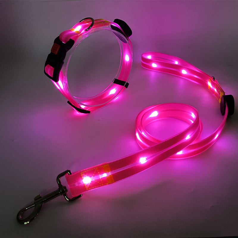 Glowing LED Dog Collar with Leash - NightBright Bowlift