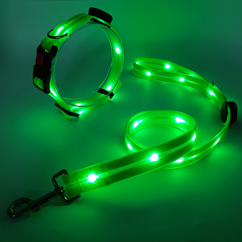 Glowing LED Dog Collar with Leash - NightBright Bowlift