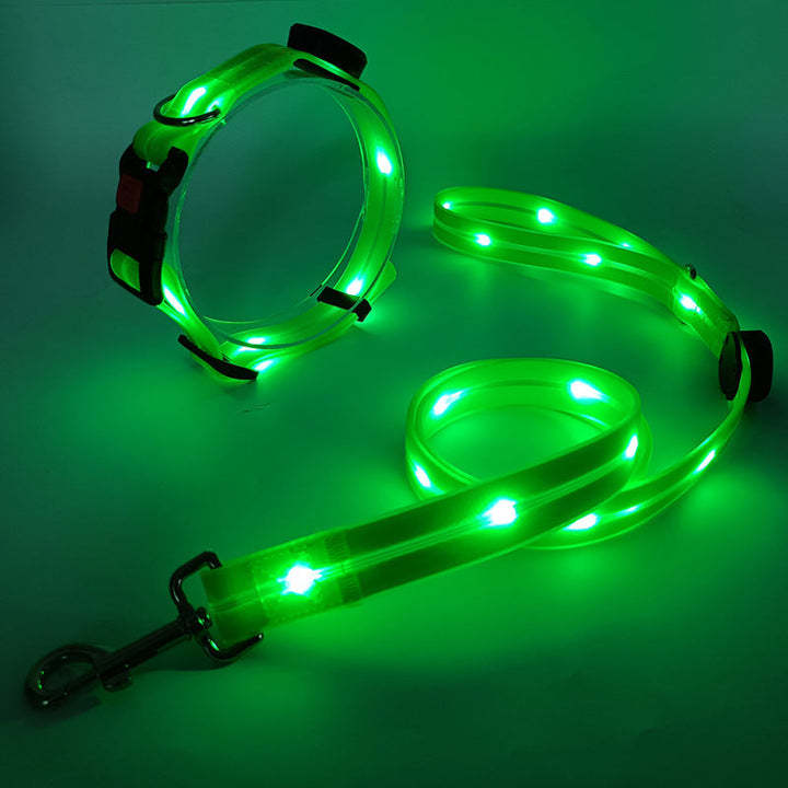 Glowing LED Dog Collar with Leash - NightBright Bowlift