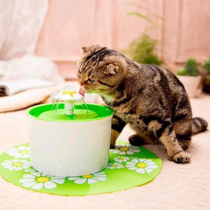 BowLift | Automatic Pet Water Fountain