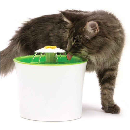 BowLift | Automatic Pet Water Fountain