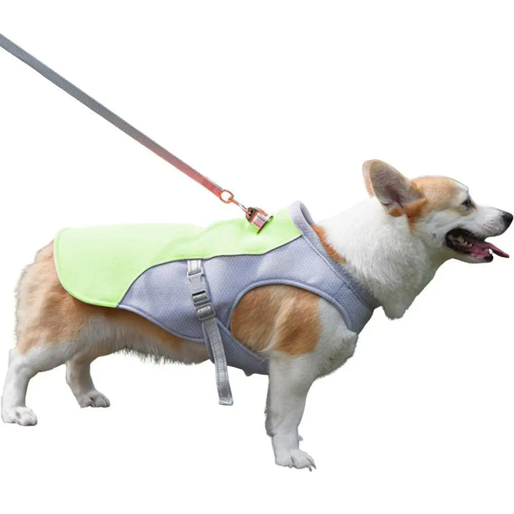 Dog Cooling Vest for Outdoor Activities | Bowlift