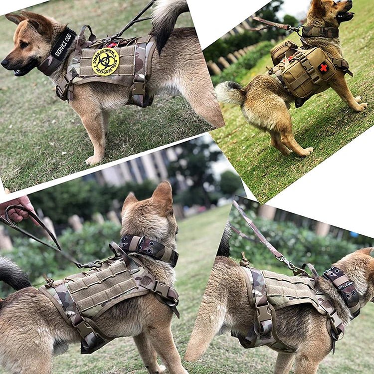 GuardianVest • No Pull Dog Harness - No Pull Dog Harness - BowLift