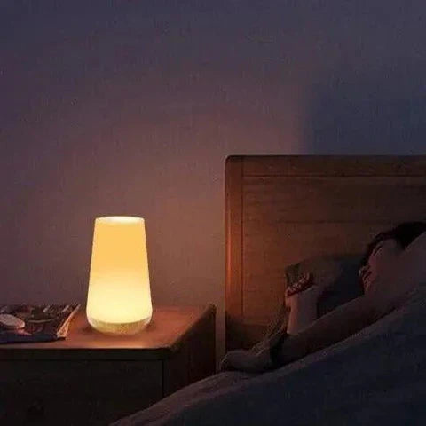 LumiGlow rechargeable mood light with touch control Bowlift