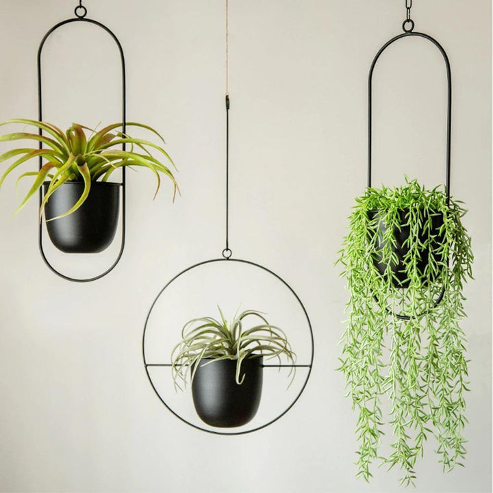 HaloRing Hanging Plant Holder – Metal Hanging Planter for Indoor and Outdoor | Bowlift