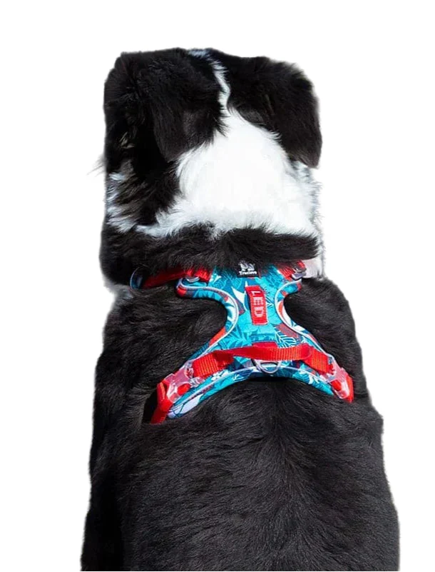 Comfortable & Durable Dog Harness – Vendo Bowlift