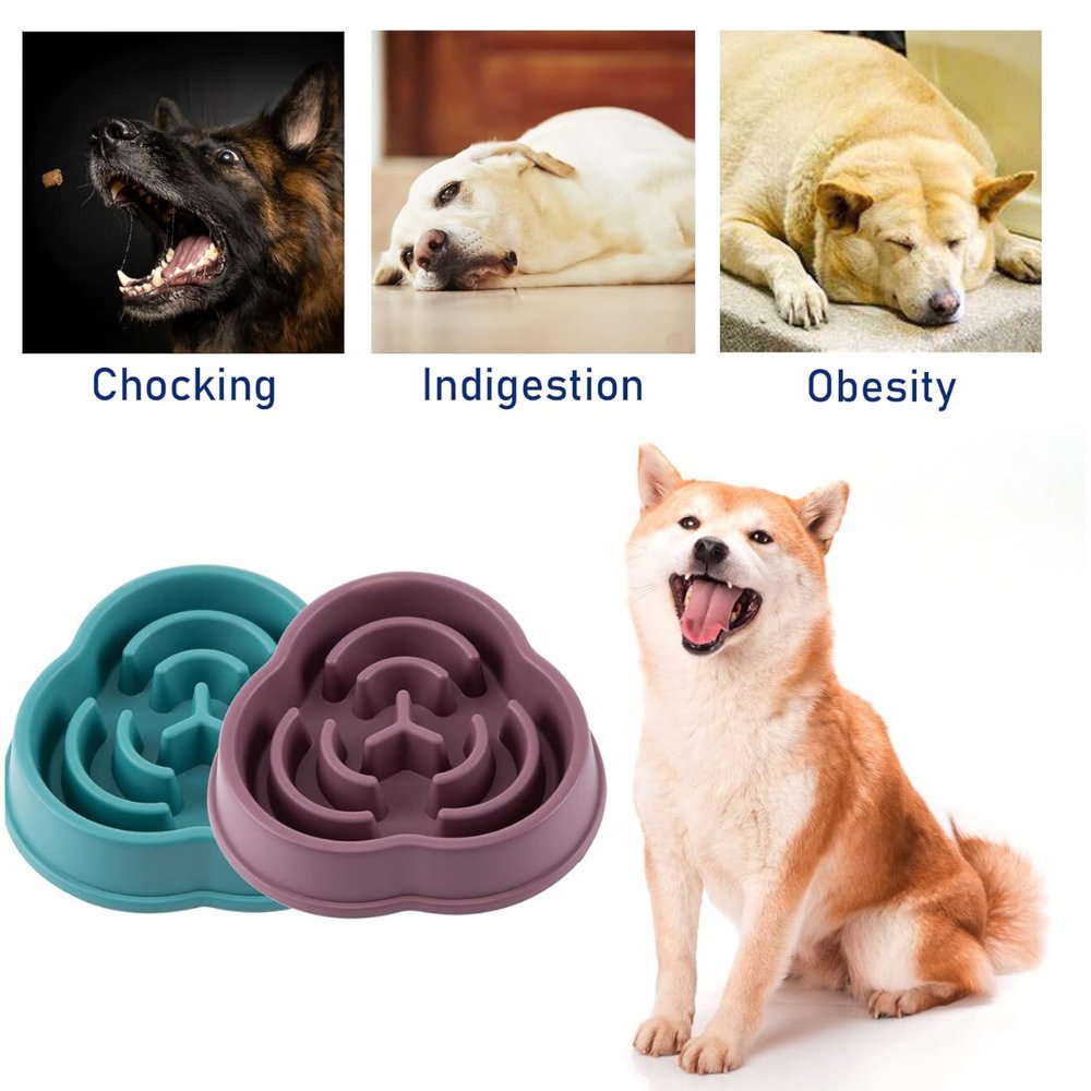 HealthyBowl • Dog Feeding Bowl Slow - Dog Feeding Bowl Slow - BowLift