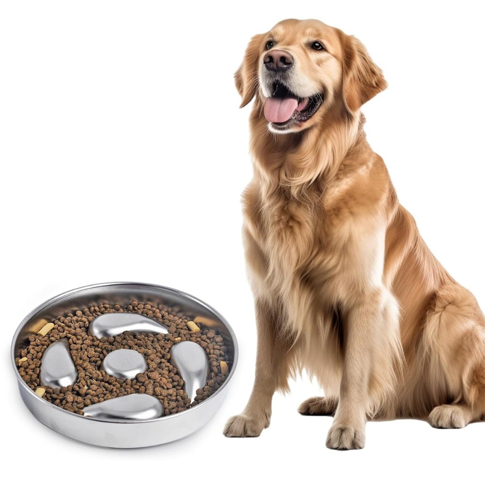 HealthyPaws • Dog Feeding Bowl Slow - Dog Feeding Bowl Slow - BowLift