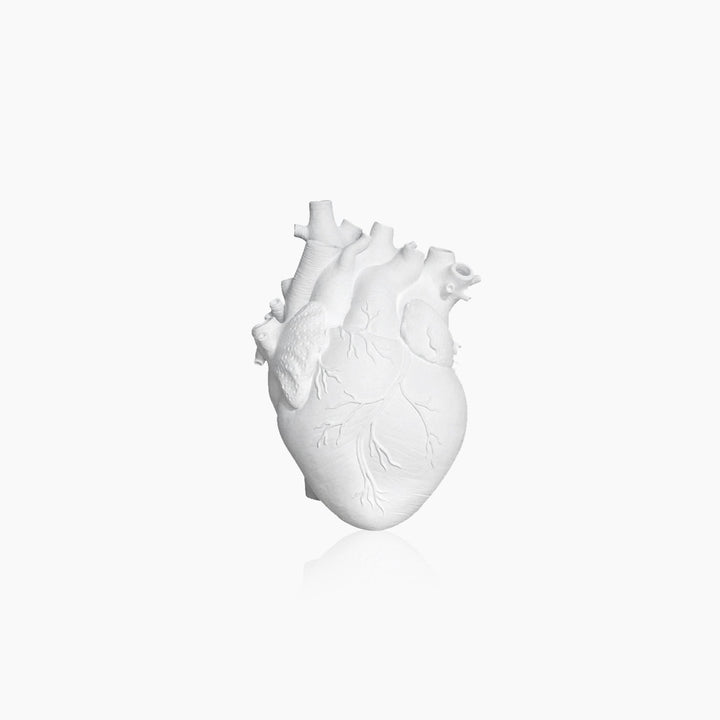 BowLift | Heart Dry Plants Artificial Vase