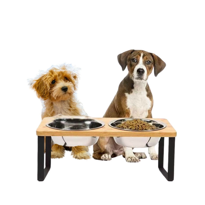 Raised Dog Food Bowl – Bamboo Stand with Removable Stainless Steel Bowls | Bowlift