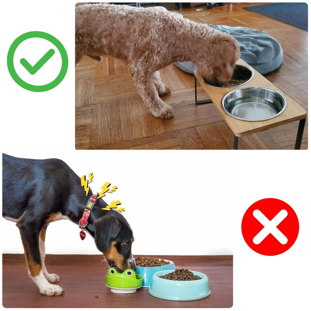 Elevated dog bowl – bamboo stand with removable stainless steel bowl | Bowlift