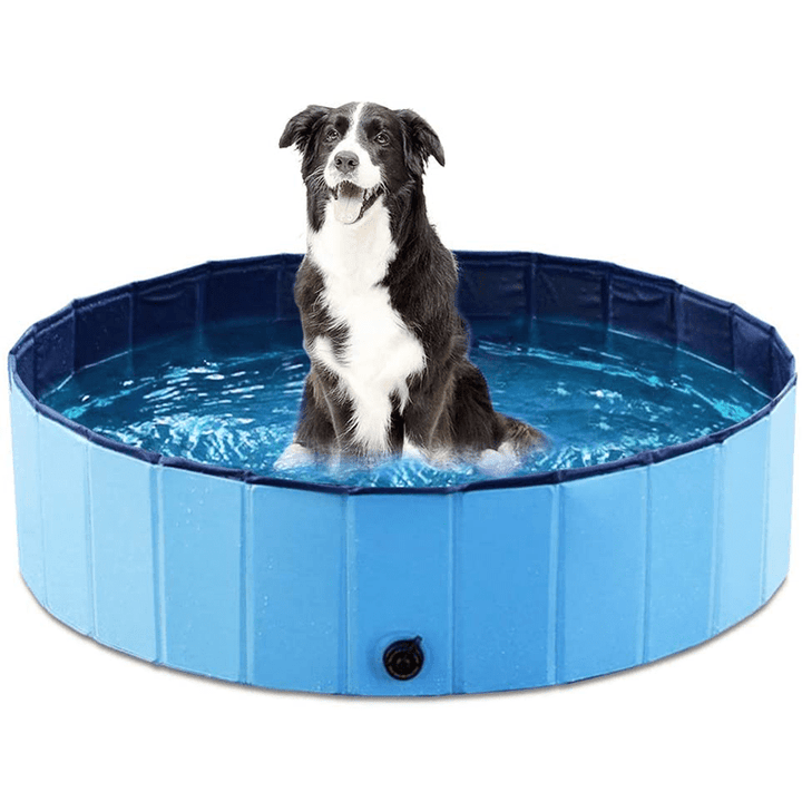 BowLift | Foldable Dog Pool for Refreshing Summer Fun