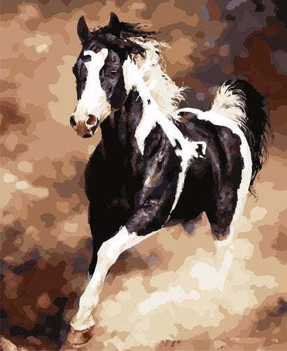 Galloping Horse - Van-Go Paint-By-Number Kit | Bowlift