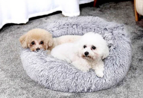 BowLift | Milowa Soft Orthopedic Pet Bed for Cats and Dogs