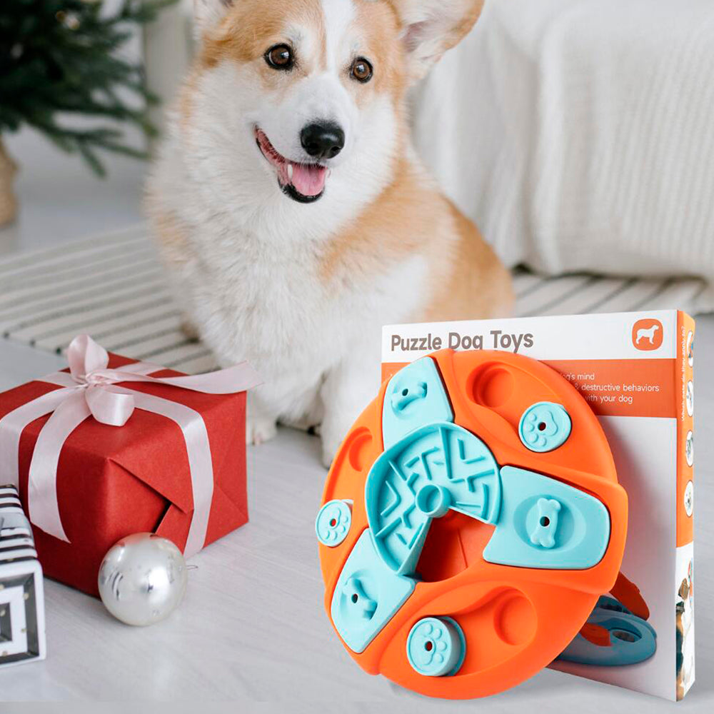 Interactive Feeding Bowl – Slow Eating and Mental Stimulation | Bowlift