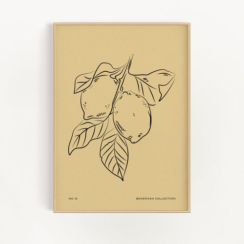 Lemons | Bowlift