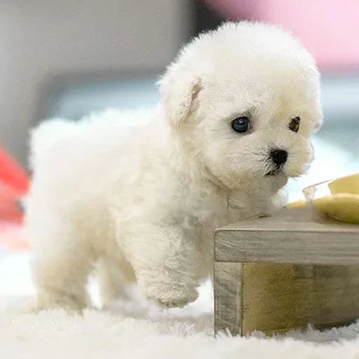 BowLift | CuddlePup Smart Robot Puppy Dog | Perfect gift for children & elderly