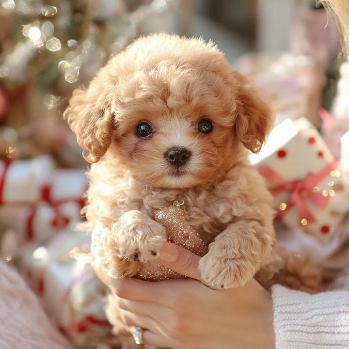 BowLift | CuddlePup Smart Robot Puppy Dog | Perfect gift for children & elderly