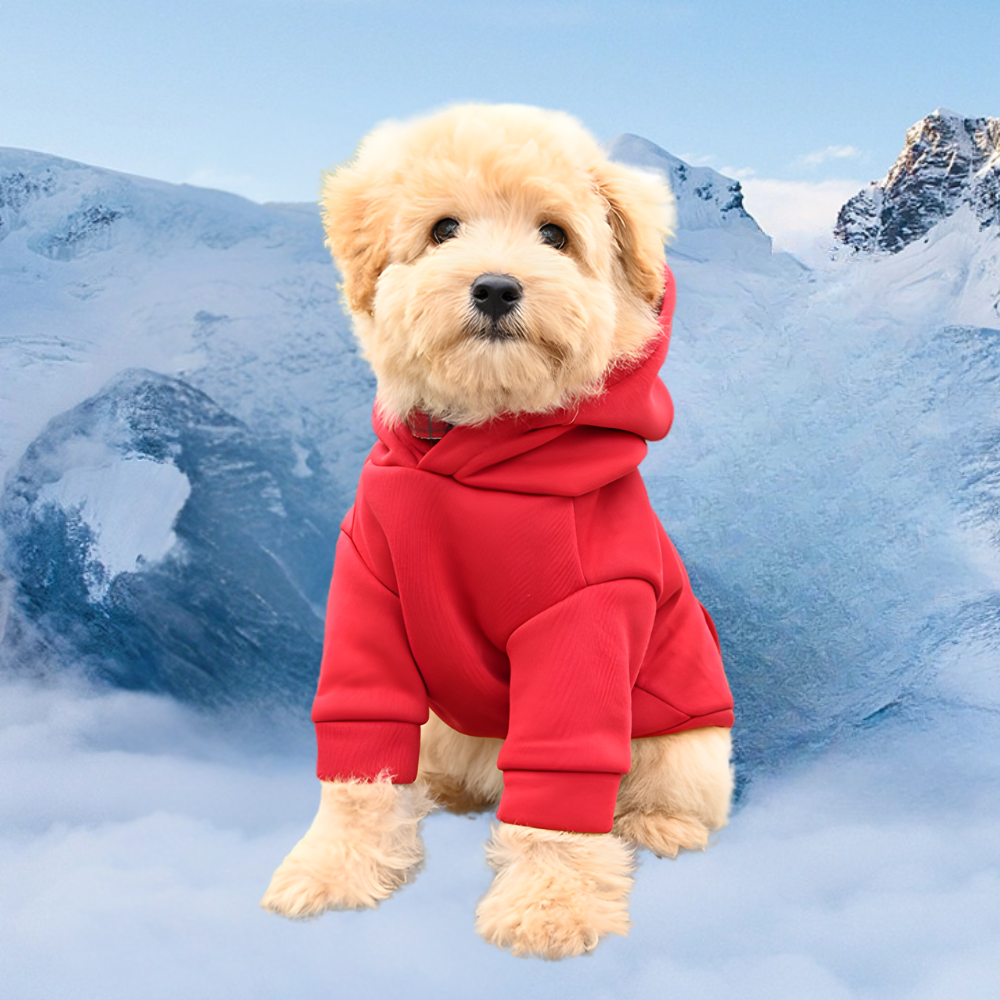 BowLift | Dog Halloween Costume Fleece Dinosaur Hoodie | Pet Outfit Warm