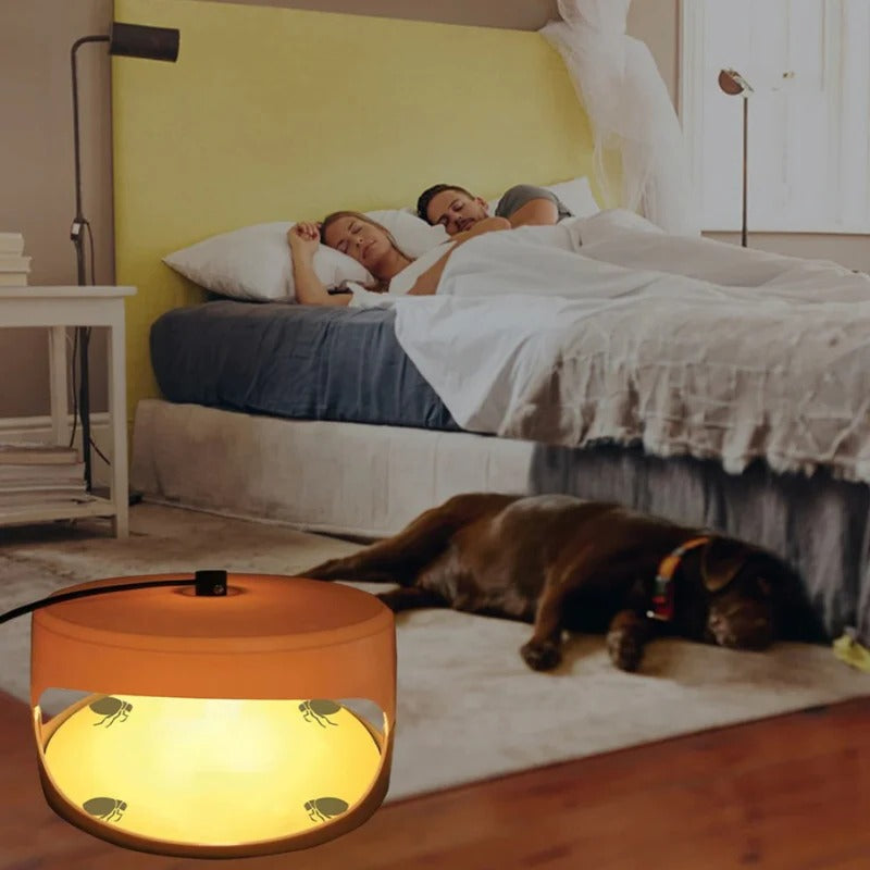 BowLift | Indoor Bed Bug Trap and Catcher with Sticky Pads