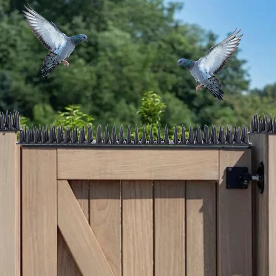 BowLift | Plastic Bird Repeller Control Spikes