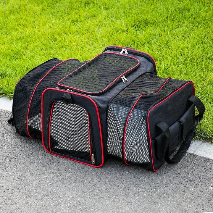 BowLift | Foldable Pet Carrier Bag