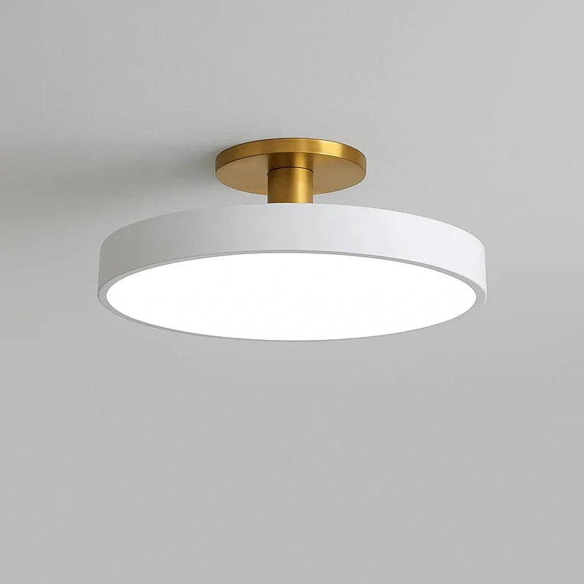 BowLift | Modern LED Ceiling Light with Flush Mount Design for Interior Spaces