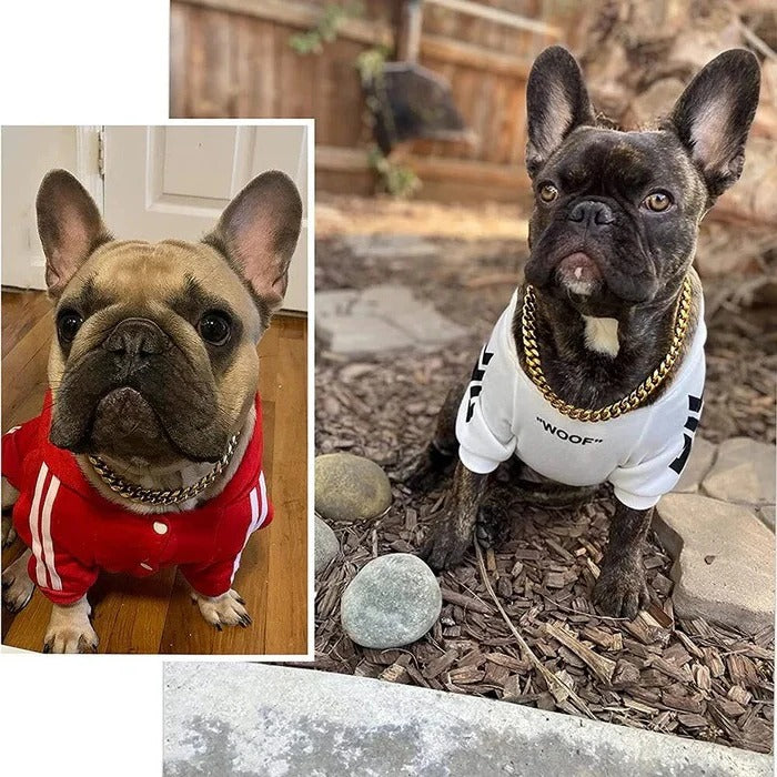 BowLift | Heavy Duty Dog Collar