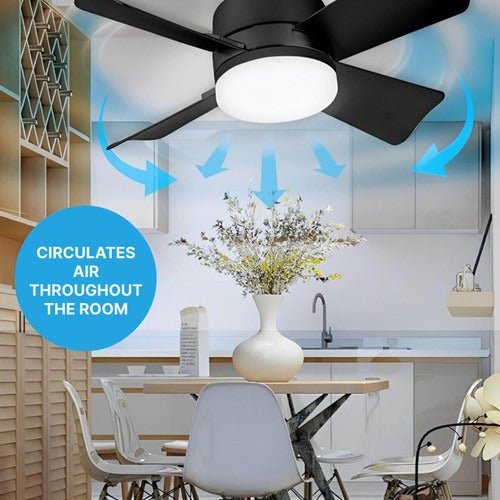 Ceiling-mounted fan | Bowlift
