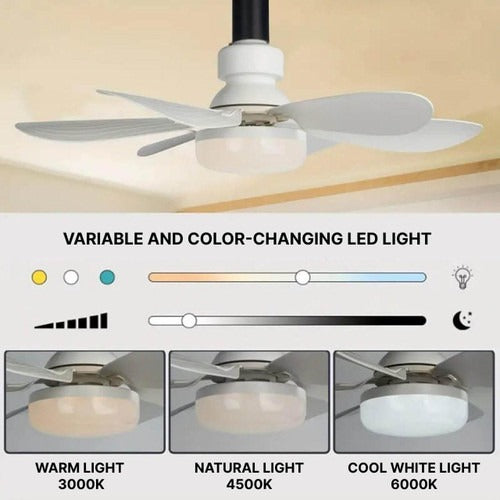Ceiling-mounted fan | Bowlift