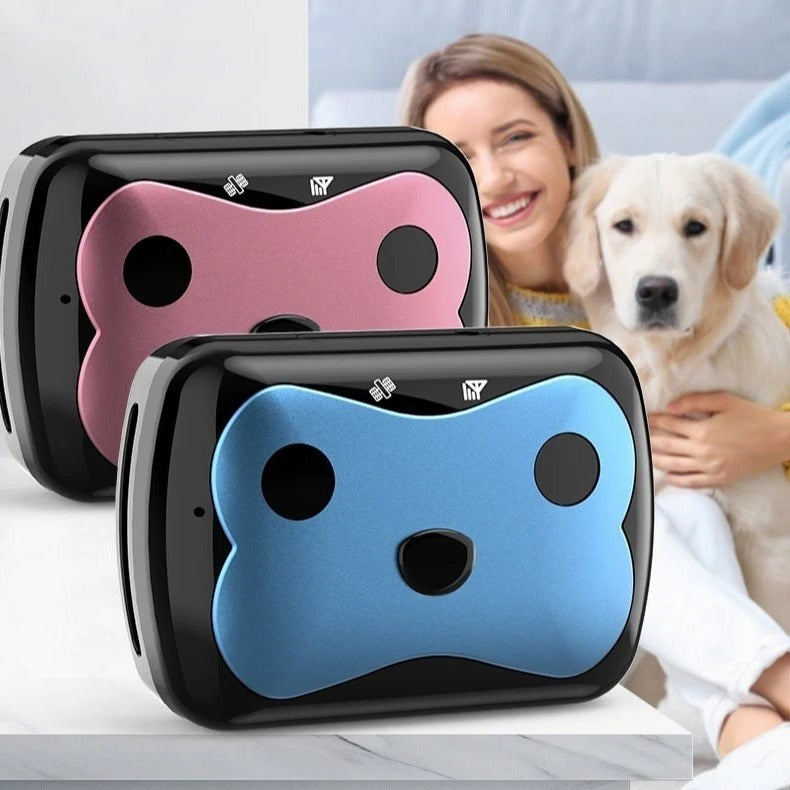 BowLift | GPS Tracker for Dogs Location Collar