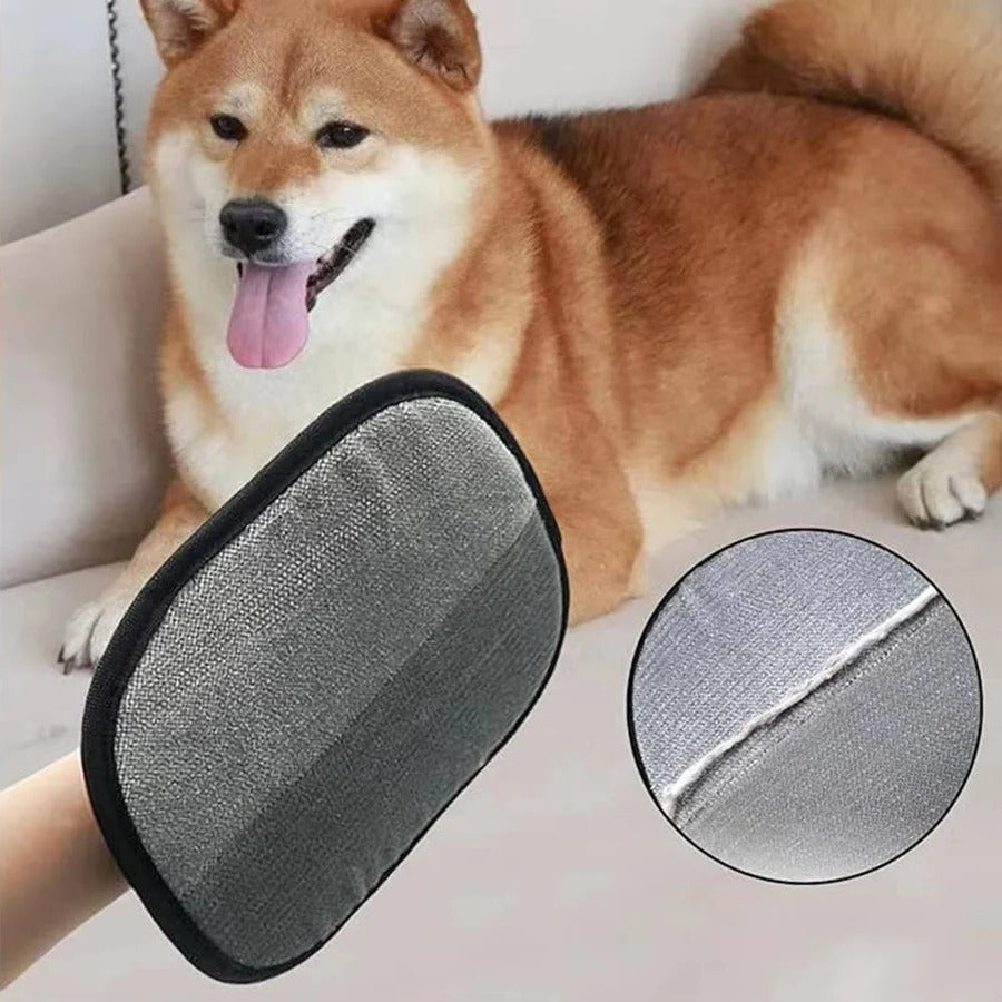 BowLift | 2 Set Pet Hair Remover Tool