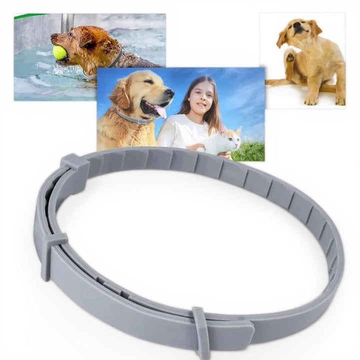 BowLift | Adjustable Pet Flea and Tick Repellent Collar – For Dogs and Cats, Water-Resistant