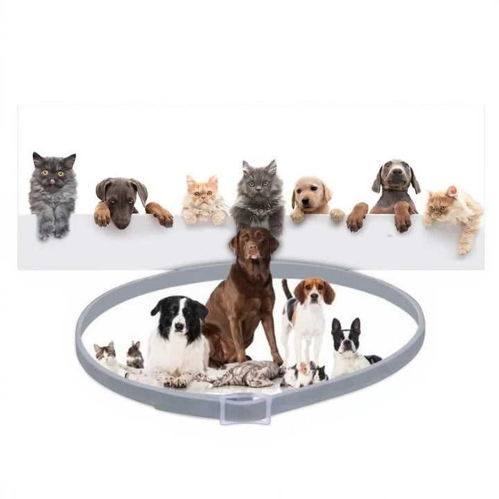 BowLift | Adjustable Pet Flea and Tick Repellent Collar – For Dogs and Cats, Water-Resistant