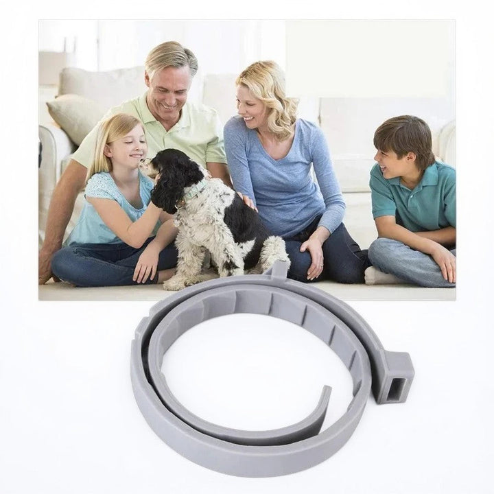 BowLift | Adjustable Pet Flea and Tick Repellent Collar – For Dogs and Cats, Water-Resistant