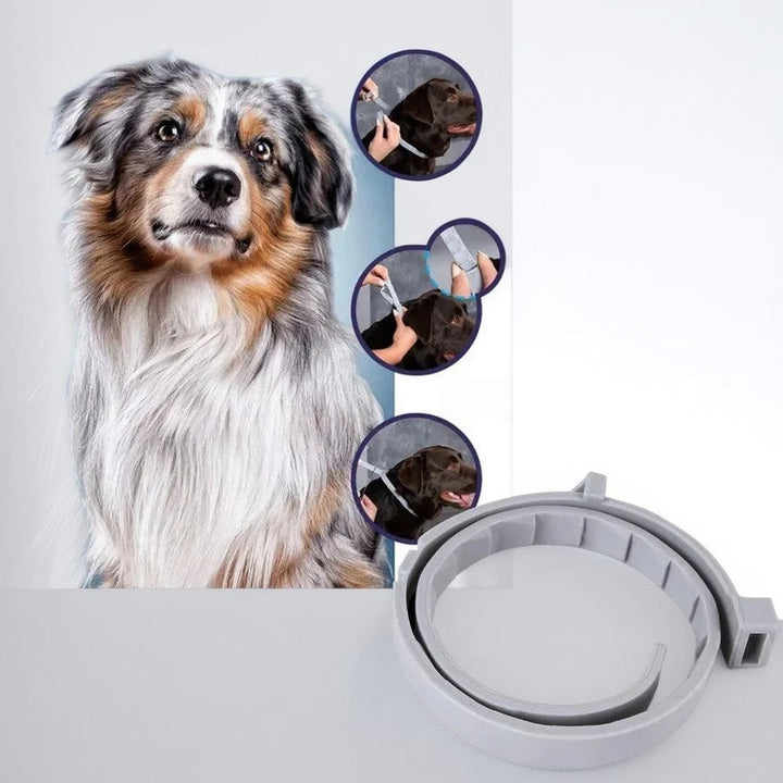 BowLift | Adjustable Pet Flea and Tick Repellent Collar – For Dogs and Cats, Water-Resistant