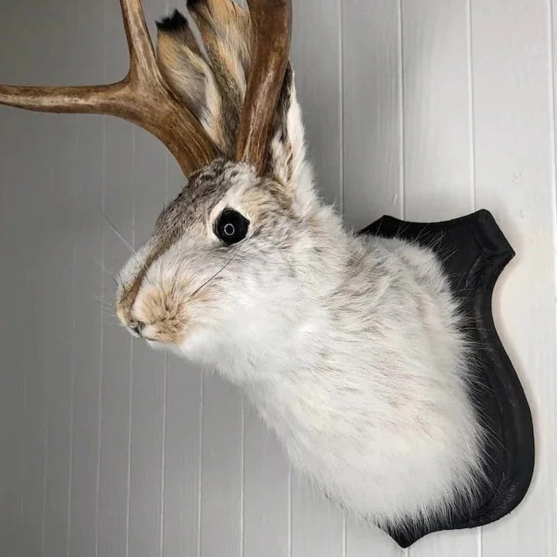BowLift | Jackalope Wall Decor