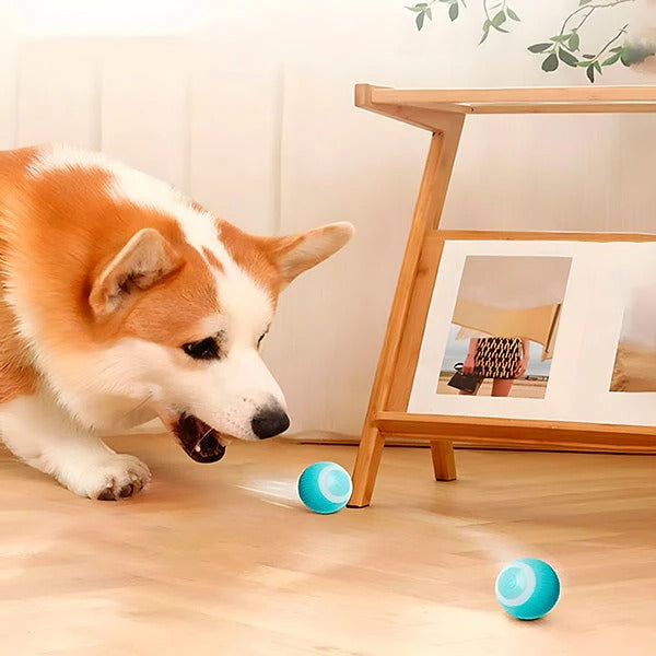 BowLift | Interactive Pet Ball, Rolls Automatically