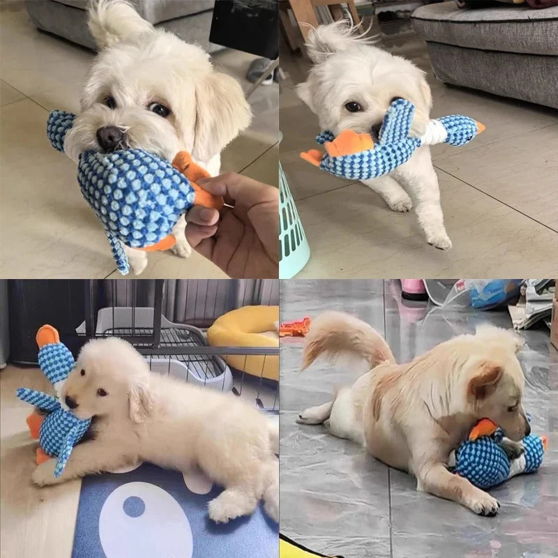 BowLift | Duck Plush Chew Toy for Dogs with Squeaker
