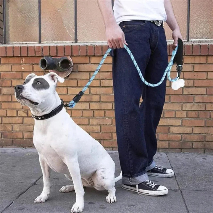BowLift | Reflective Dog Leash with Comfortable Padded Handle