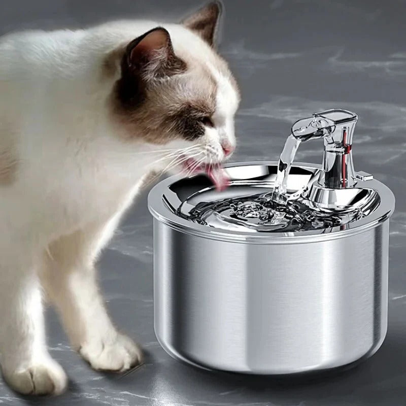 BowLift | PurrFlow Smart Cat Fountain Stainless Steel with Filter & Auto-Sensor