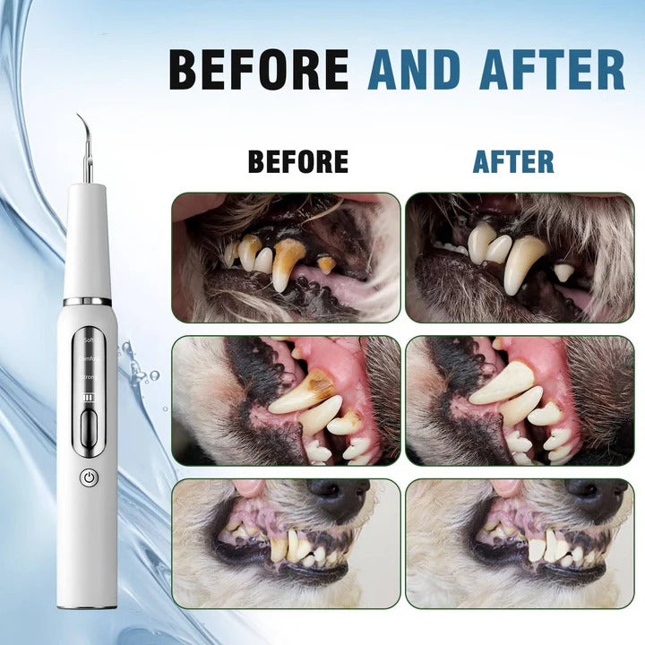 BowLift | Pet Oral Cleaning Tool for Fresh Breath & Grooming Care