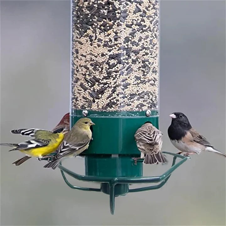 BowLift | Durable Metal Bird Feeder with Cage Design to Deter Squirrels