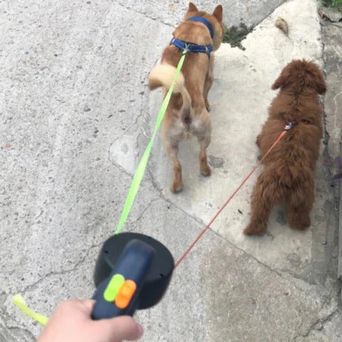 BowLift | Two Dog Walking Leash Tangle Proof With 360 Degree Connector