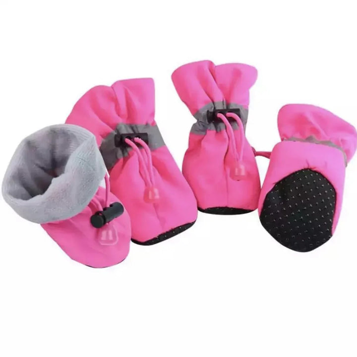 Winter Paw Protection – Paw Walks Bowlift