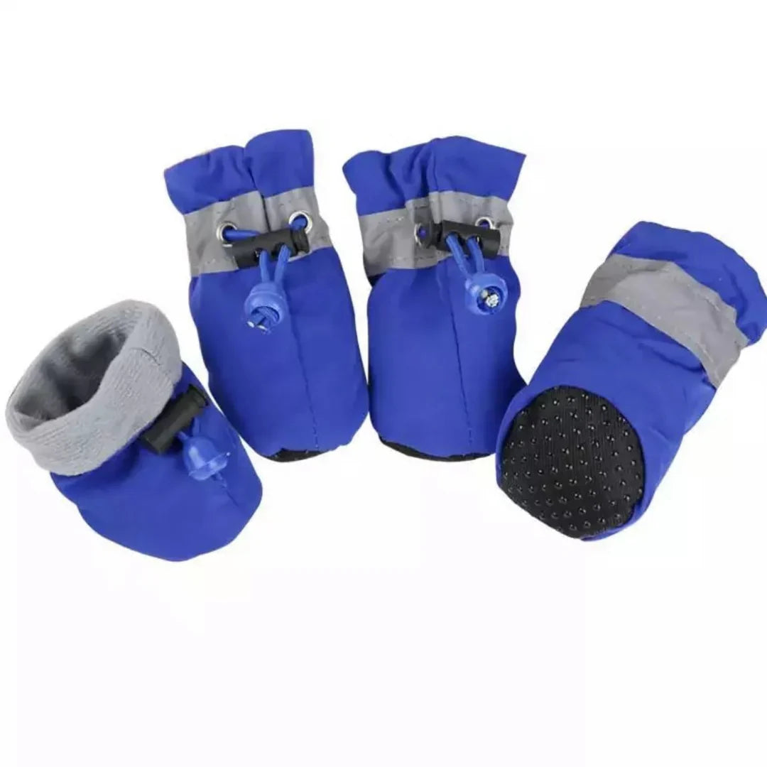 Winter Paw Protection – Paw Walks Bowlift