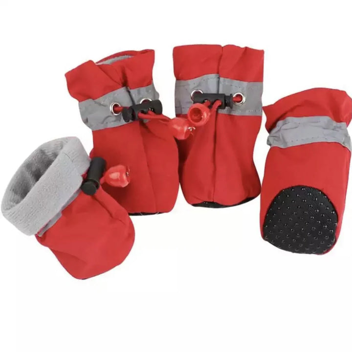 Winter Paw Protection – Paw Walks Bowlift