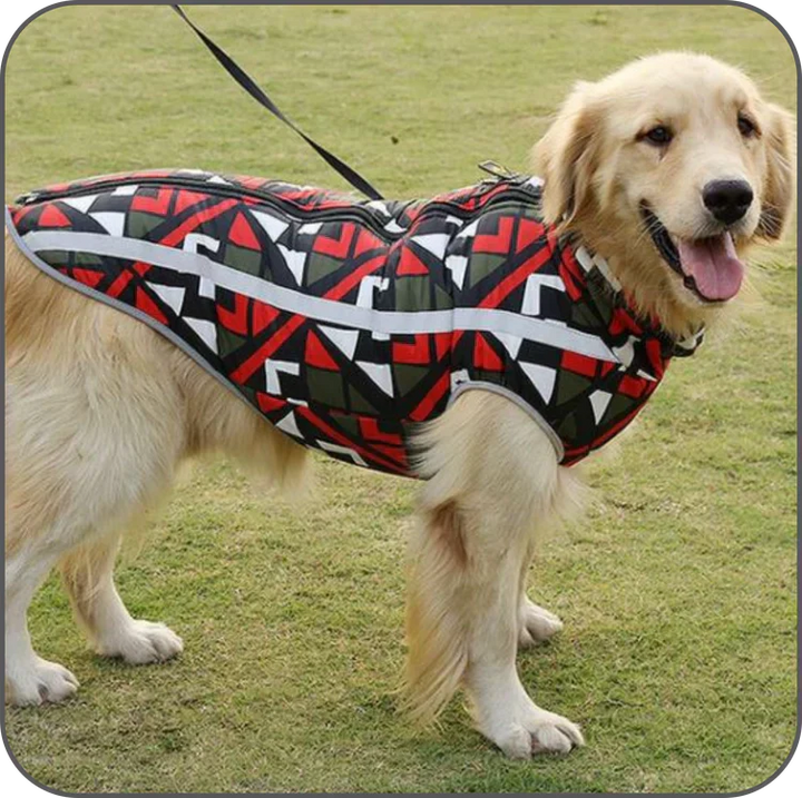 BowLift | HydroHond Rain Jacket ProShield – Waterproof and Breathable Dog Jacket for Cold Weather